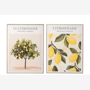 J-Line - L�rred m/Citroner 45x60 cm. - Leveres Assorteret 