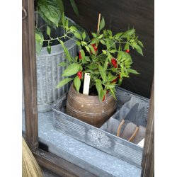 Chic Antique - Bakke i zink look m/4 rum L 41,5 B 24 H 8,5 cm