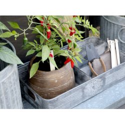 Chic Antique - Bakke i zink look m/4 rum L 41,5 B 24 H 8,5 cm