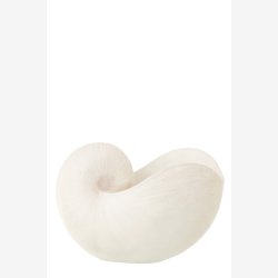 J-Line - Muslingeskal Hvid Polyresin H: 21,5 B: 31 D: 16,5 Cm