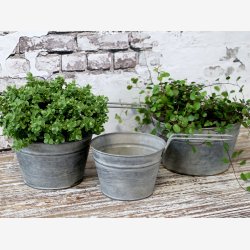 Chic Antique - Skjuler m/hank Jern m/zinkbelgning - Flere Strrelser