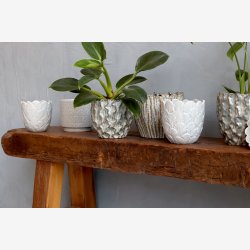 Chic Antique - Fayence Urtepotteskjuler m/mnster Opal H: 13 : 14 cm.