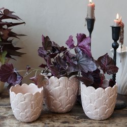 Chic Antique - Fayence Urtepotteskjuler m/fjer Taupe H: 10,5 : 10,5 cm.