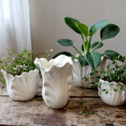 Chic Antique - Fayence Urtepotteskjuler m/blade Creme H: 16 : 18 cm.