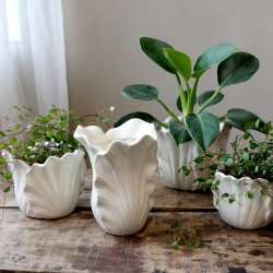 Chic Antique - Fayence Urtepotteskjuler m/blade Creme H: 19 : 14,5 cm.