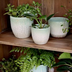 Chic Antique - Fayence Urtepotteskjuler m/mnster Verte H: 11 : 12 cm.