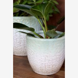 Chic Antique - Fayence Urtepotteskjuler m/mnster Verte H: 15 : 16 cm.