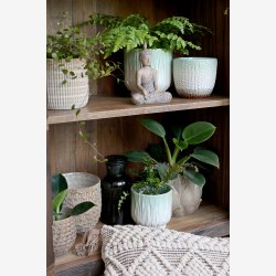 Chic Antique - Fayence Urtepotteskjuler m/mnster Verte H: 13 : 13 cm.