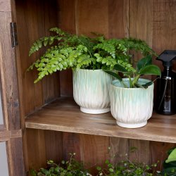 Chic Antique - Fayence Urtepotteskjuler m/mnster Verte H: 16 : 16 cm.