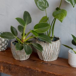 Chic Antique - Gaston Urtepotteskjuler m/mnster Opal H: 15 : 18 cm.