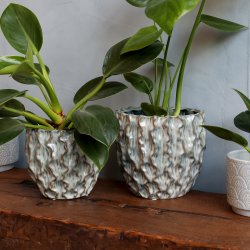 Chic Antique - Gaston Urtepotteskjuler m/mnster Opal H: 15 : 17 cm.