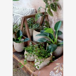 Chic Antique - Gaston Urtepotteskjuler m/mnster Latte H: 11 : 11 cm.