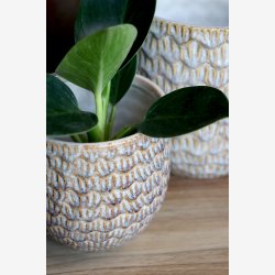 Chic Antique - Gaston Urtepotteskjuler m/mnster Latte H: 16 : 15 cm.