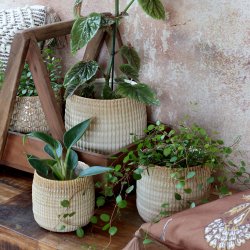 Chic Antique - Gaston Urtepotteskjuler m/mnster Latte H: 13 : 15 cm.