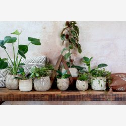 Chic Antique - Gaston Urtepotteskjuler m/mnster Latte H: 13 : 15 cm.