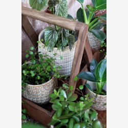 Chic Antique - Gaston Urtepotteskjuler m/mnster Latte H: 17 : 19 cm.