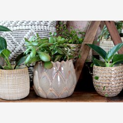 Chic Antique - Gaston Urtepotteskjuler m/blade Latte H: 15 : 20 cm.