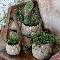 Chic Antique - Gaston Urtepotteskjuler m/blade Latte H: 15 : 20 cm.