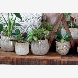 Chic Antique - Gaston Urtepotteskjuler m/blade Latte H: 15 : 20 cm.