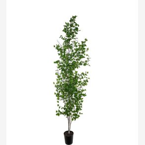 Mr. Plant - Bjrk 300 cm