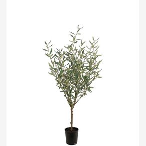Mr. Plant -  Oliventr H: 130 cm