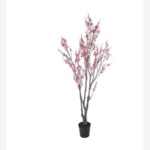 Mr. Plant - Krsbrsblom 180 cm