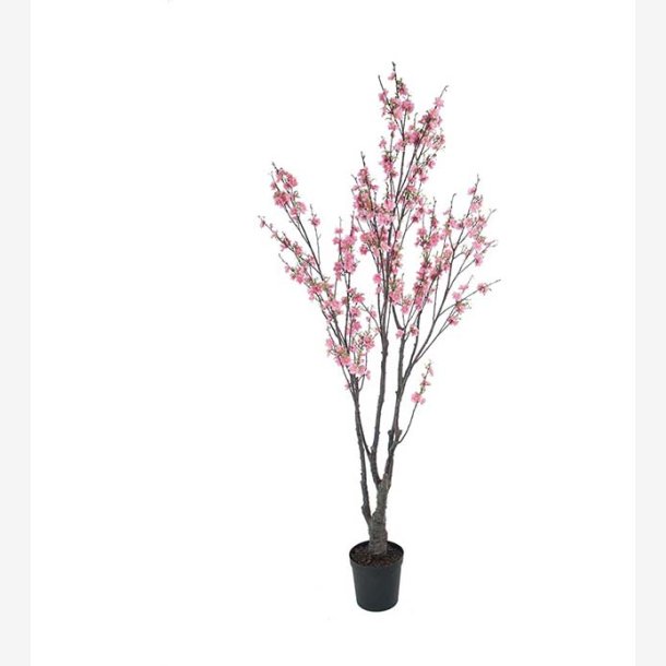 Mr. Plant - Krsbrsblom 180 cm