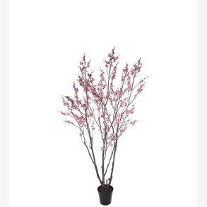 Mr. Plant - Krsbrsblom 240 cm