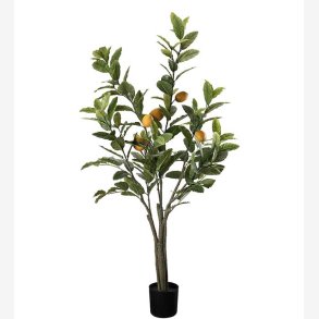 Mr. Plant - Citrontrd 120 cm