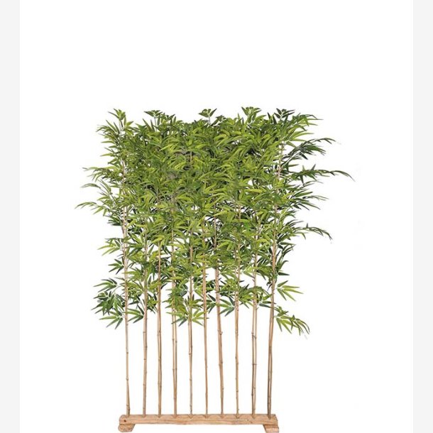 Mr. Plant -  Bambu 190 cm
