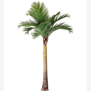Mr. Plant - Palm 370 cm 