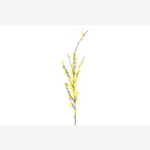 Forsythia Gul H:76cm.