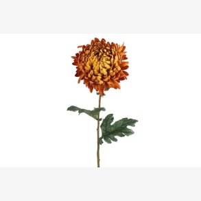 Chrysanthemum 75 cm Orange