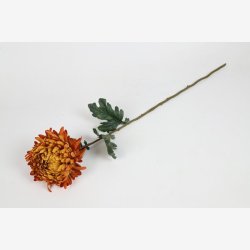 Chrysanthemum 75 cm Orange