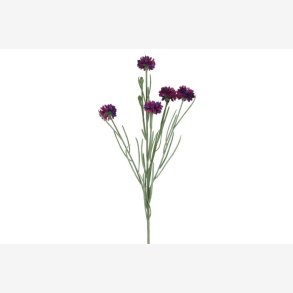 Kornblomst Buket M�rkelilla H:66cm.