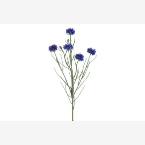 Kornblomst Buket Bl� H:66cm.