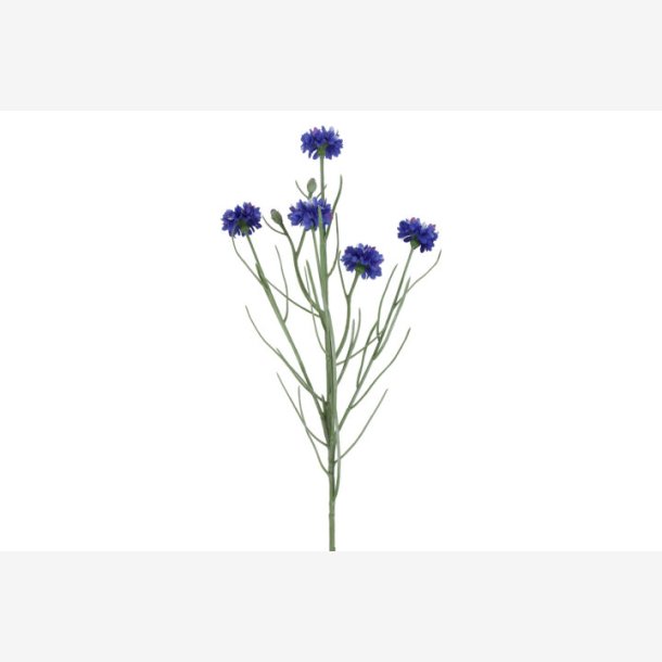 Kornblomst Buket Bl� H:66cm.