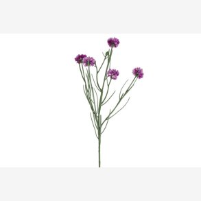 Kornblomst Buket Lilla H:66cm.