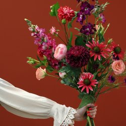 Dahlia M�rke lilla H:75cm.