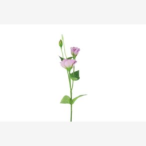 Lisianthus Lilla H:67cm.