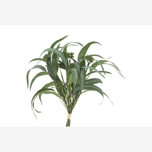 Eukalyptus Grn bundt  5 stk. H: 44 cm.