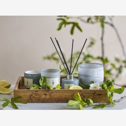 Bloomingville - ILLUME duftpinde NO. 3 Figen 100 ml.