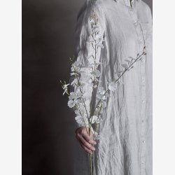 Orkide stilk Hvid L: 91,5 cm. 