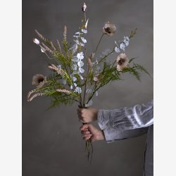 Orkide stilk Hvid L: 91,5 cm. 