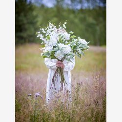 Orkide stilk Hvid L: 91,5 cm. 