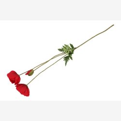 Valmue R�d H:95cm.