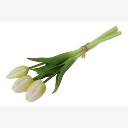 Tulipan Bundt 3 stk. Hvid H:29cm.