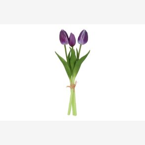 Tulipan Bundt 3 stk. Lilla H:29cm.