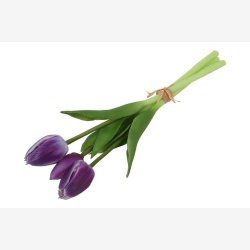 Tulipan Bundt 3 stk. Lilla H:29cm.