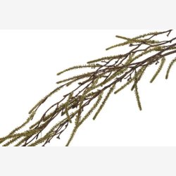 Hnge Salix Grn L: 132 cm.